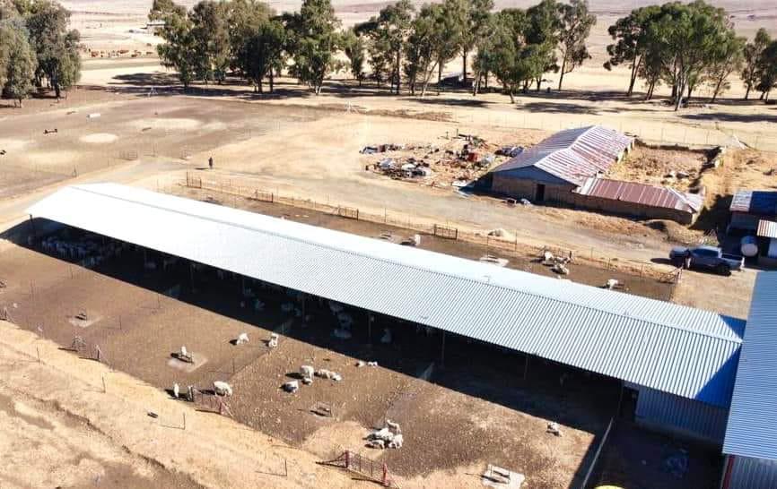 Commercial Property for Sale in Kestell Rural Free State